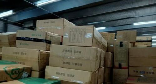 運輸750箱一次性不可降解塑料制品入島,這家公司被立案調查